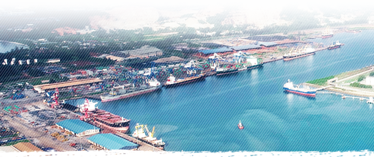 兩國(guó)雙園共譜發(fā)展夢(mèng)